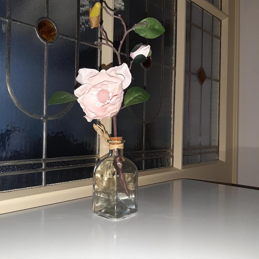 Apartman U Javoru 瓦恩斯多夫 外观 照片