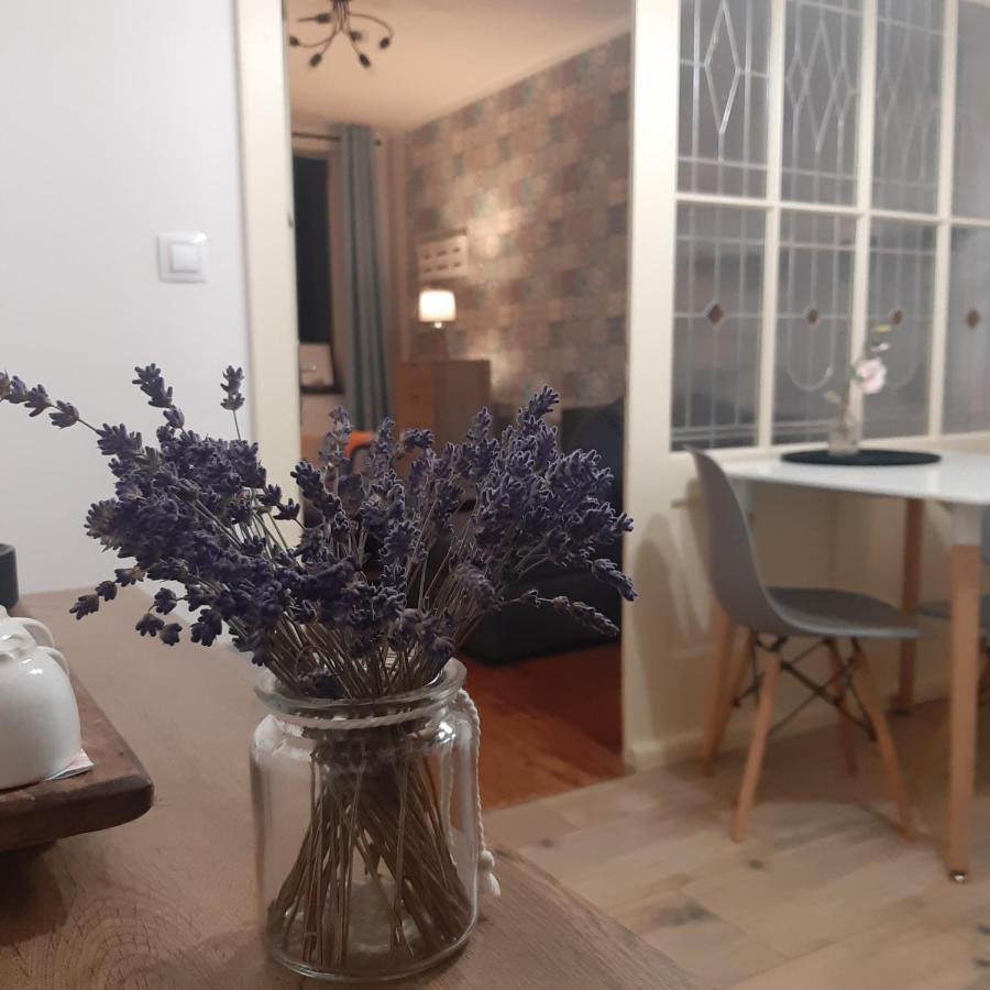 Apartman U Javoru 瓦恩斯多夫 外观 照片